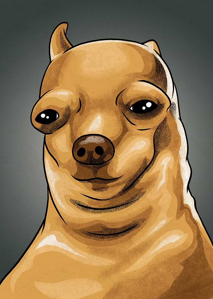 Funny Chihuahua Dog