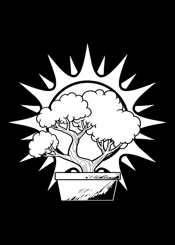 Bonsai Sun