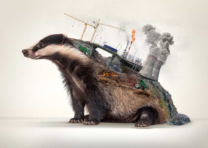 Badger Climate Change