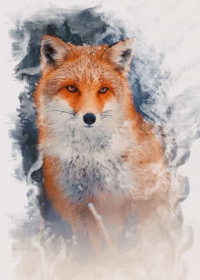 Red Fox Watercolor
