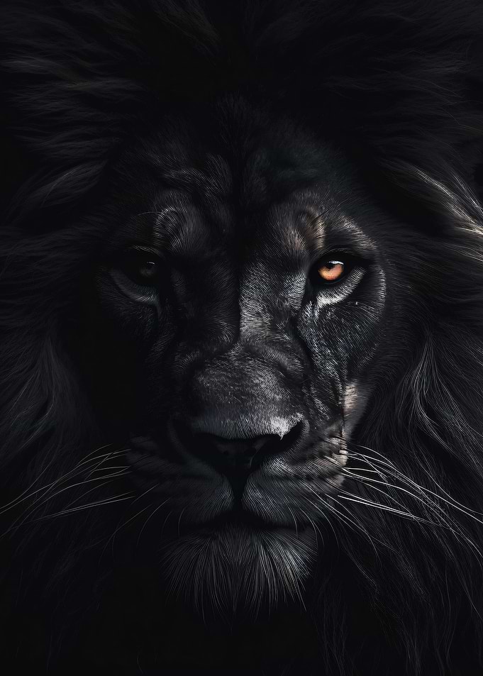 King of the Jungle