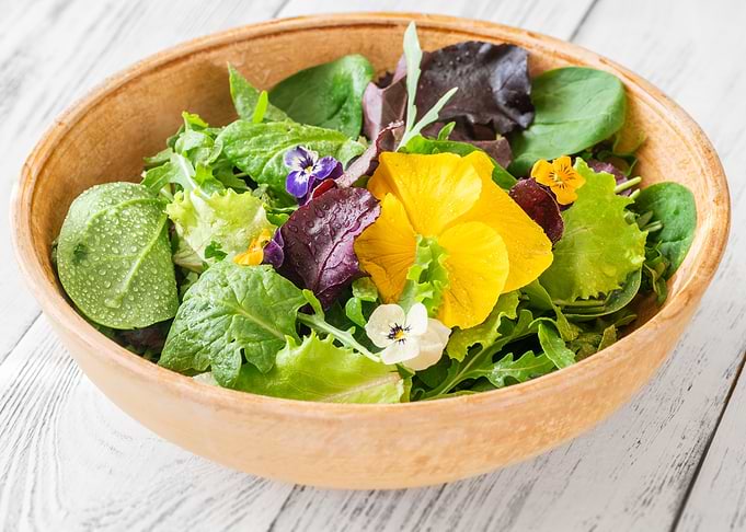 Bowl of salad