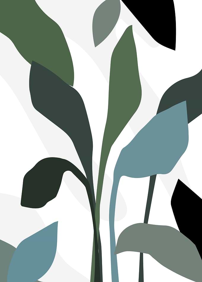 summer leaf