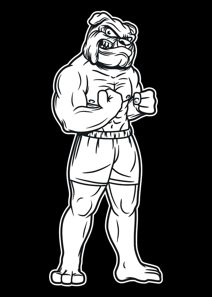 Bulldog standing Fitnes