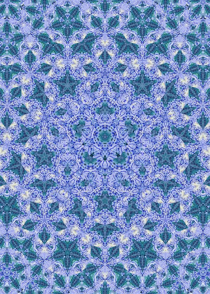 Sky blue floral morph 2