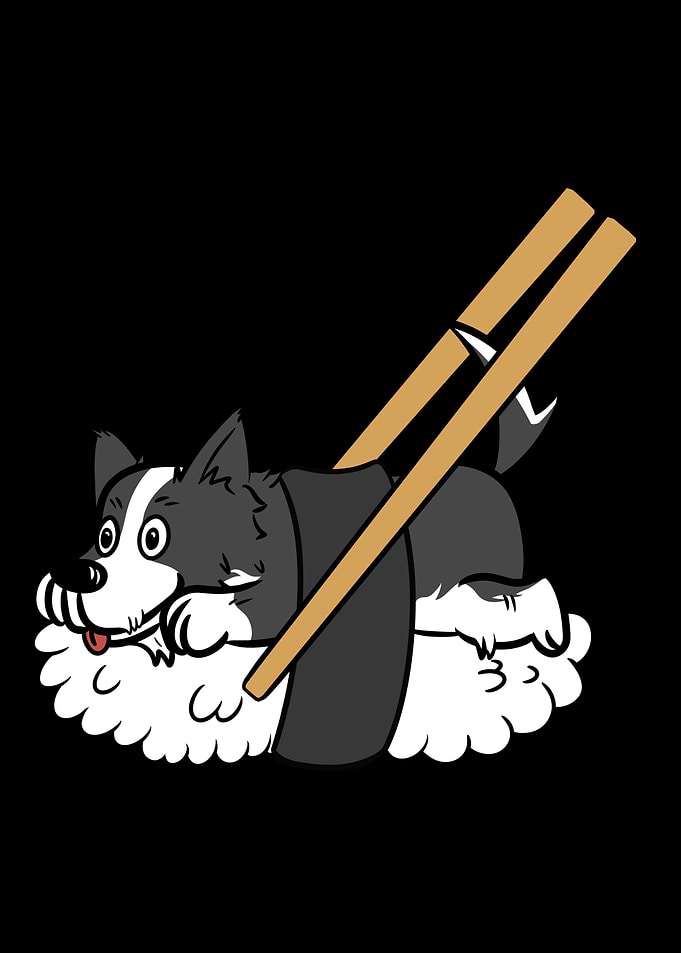 Border Collie Sushi