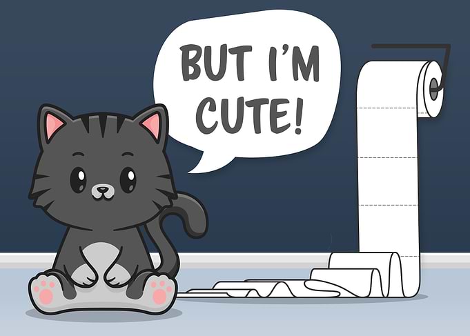 Funny Messy Cat Bathroom