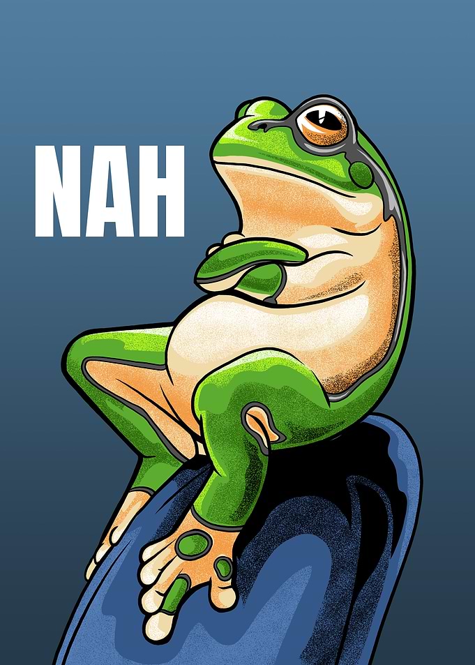 Funny Smug Frog