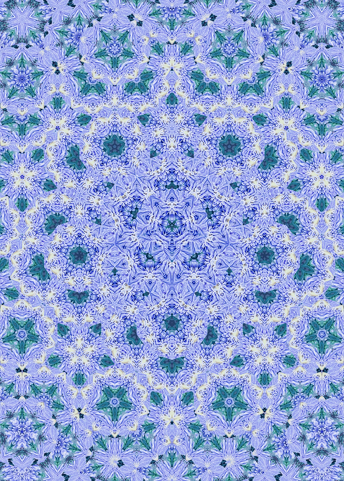 Sky blue floral morph 1