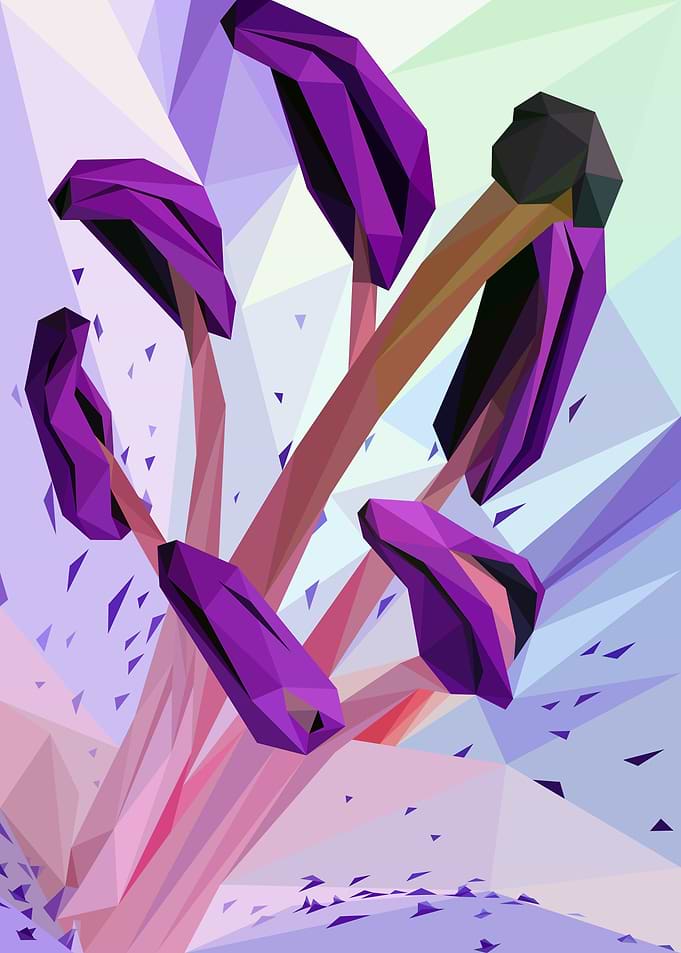 Violet Lilly Abstract