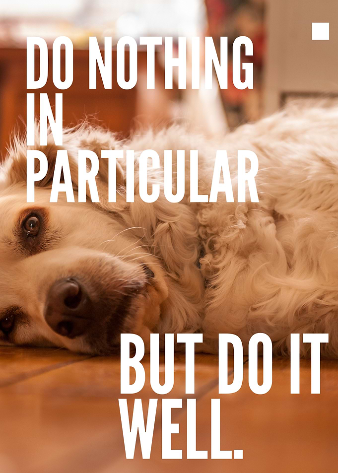 Humor Quote