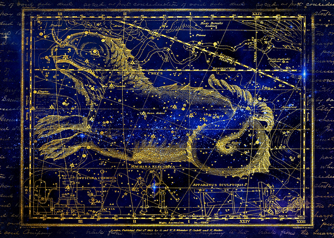 Sea Stellar