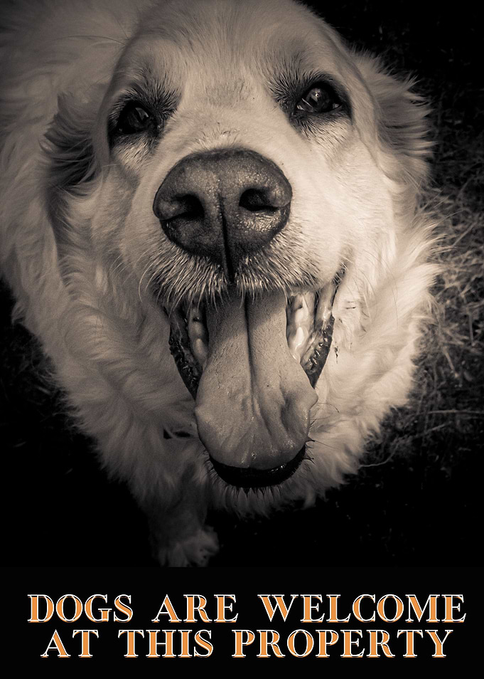 Dogs are Welcome