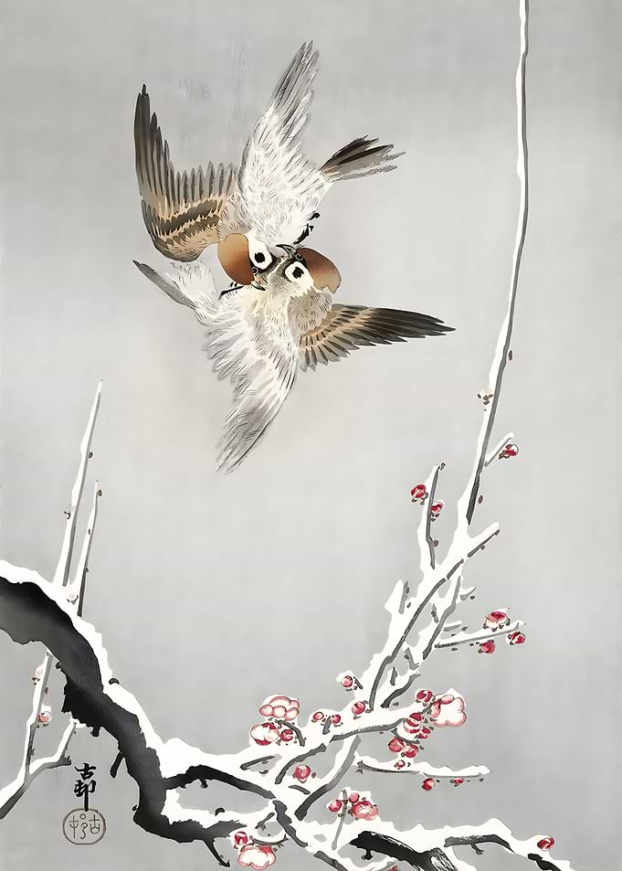 Sparrows and snowy