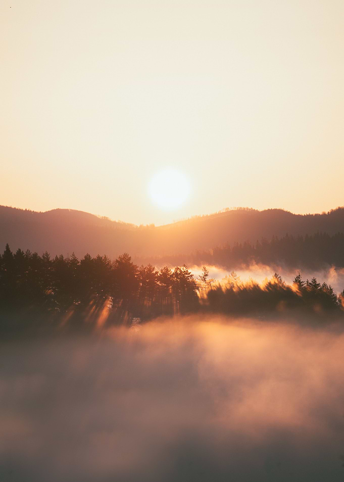 Sunny morning