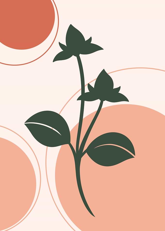 Plant V2