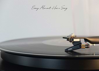 Vinyl Record