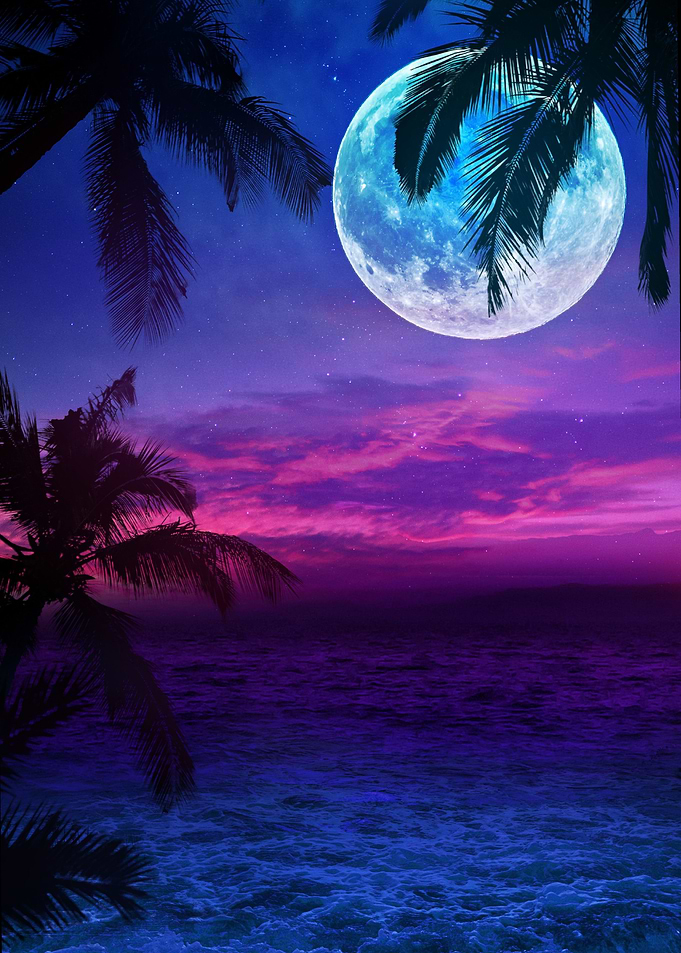 Beautiful moon and shilhou
