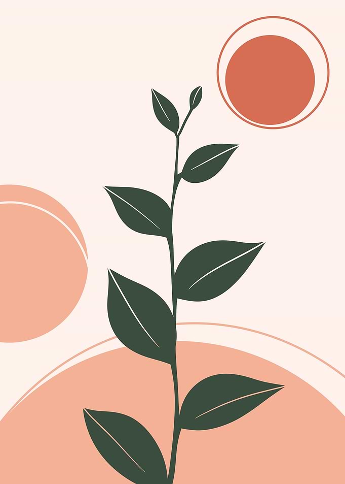 Plant V1
