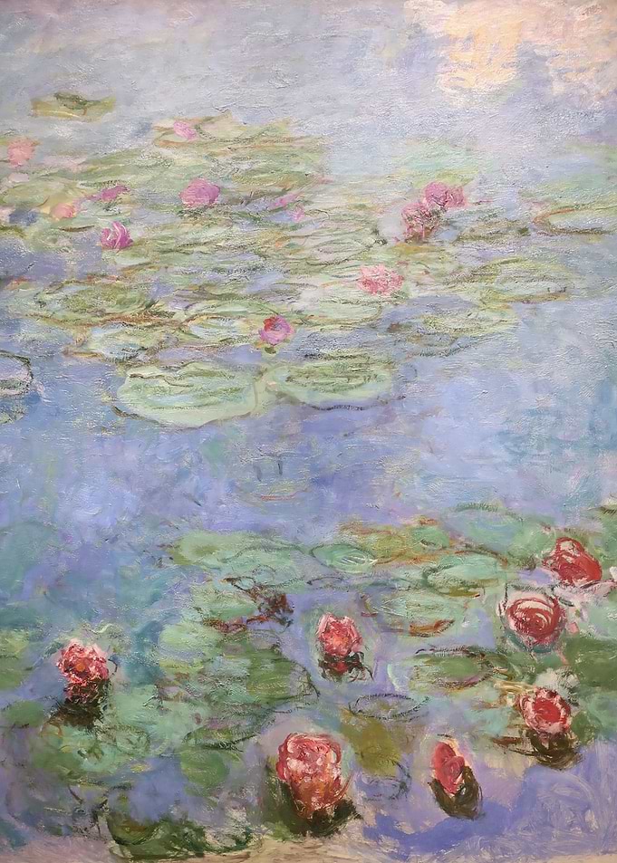 Water Lilies
