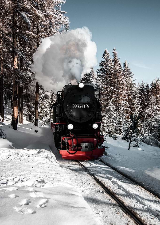 orange and black train