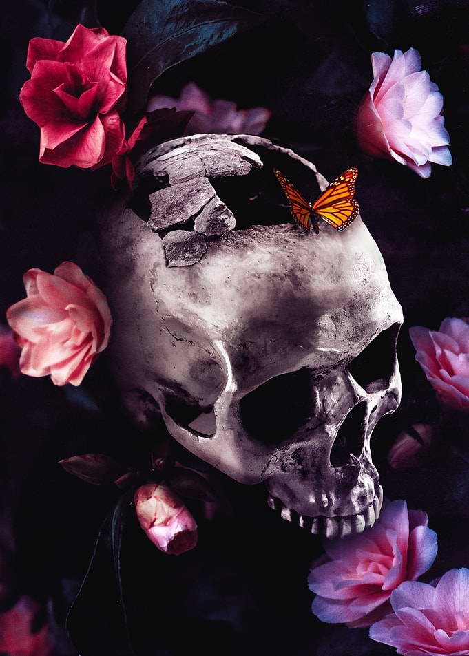 Metamorphosis Within