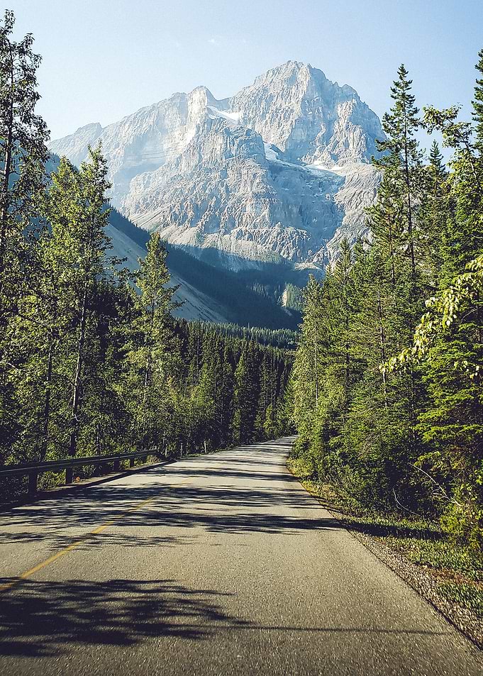 Road to Forest Nature