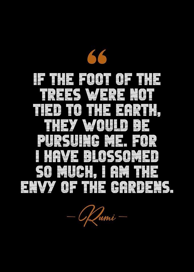 Rumi