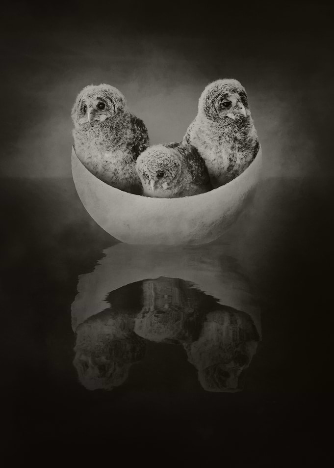 Children of the Moon Sepia