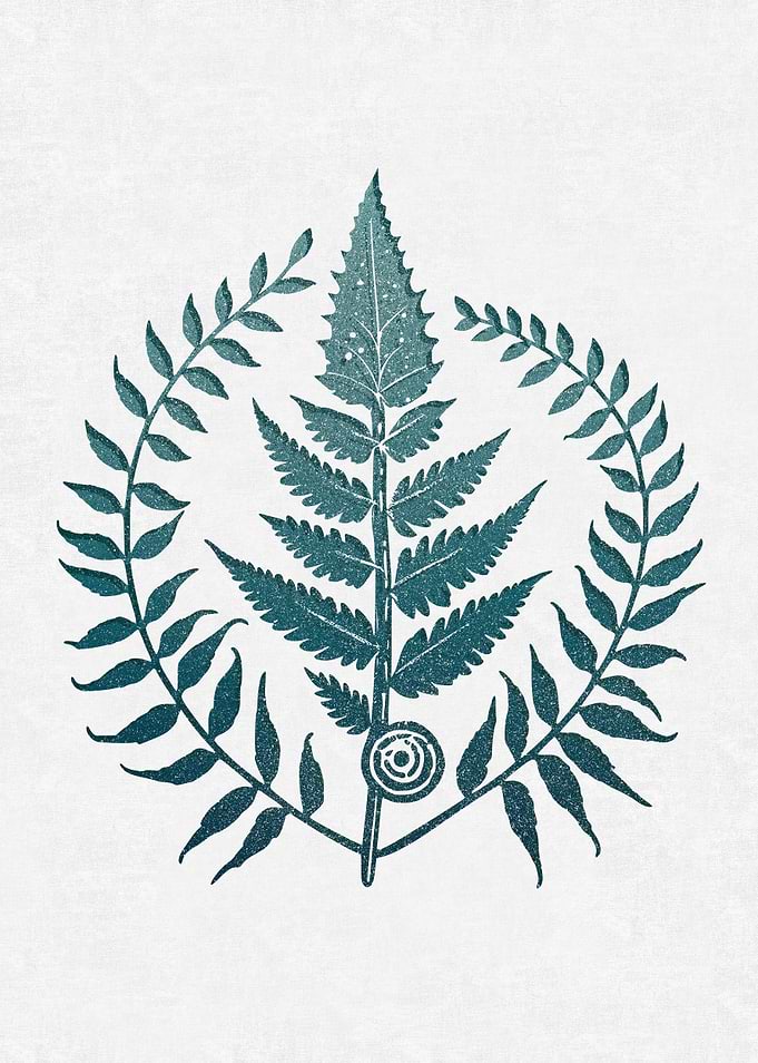 Witch Fern