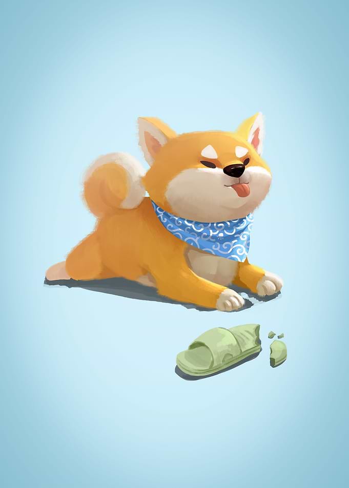 Shiba inu