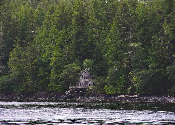 Lonely House in the wild