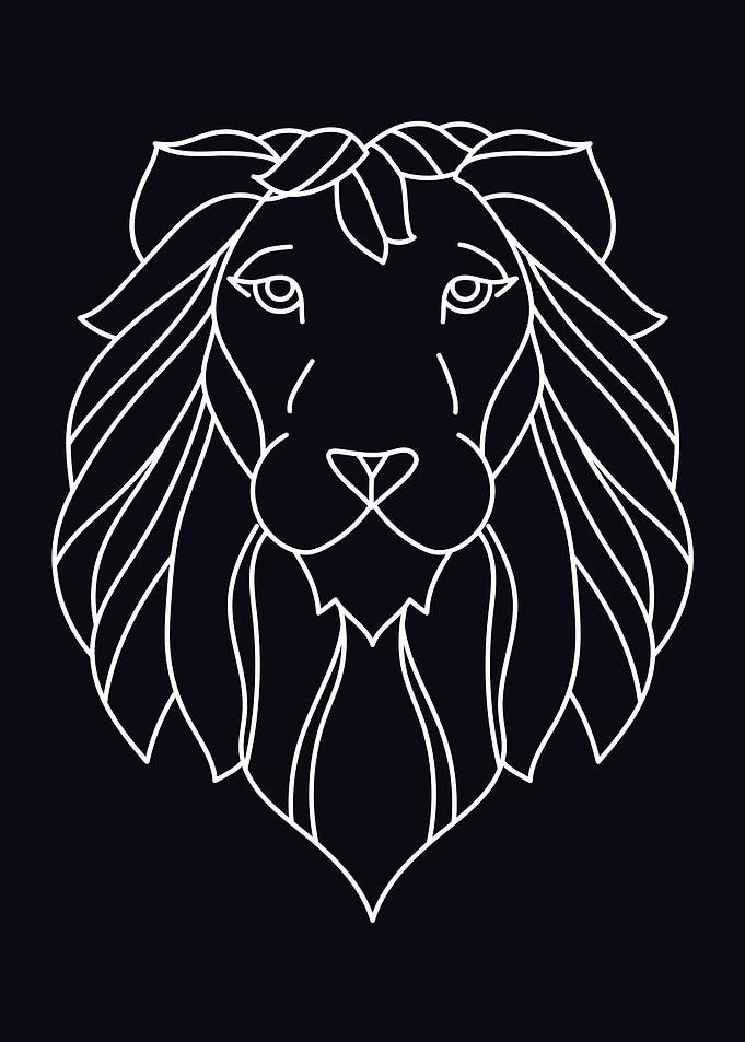 showcases a lion in a diff