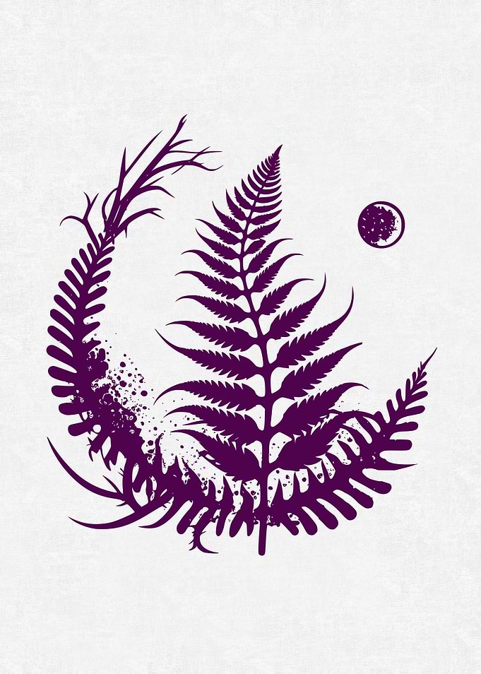 Witch Fern