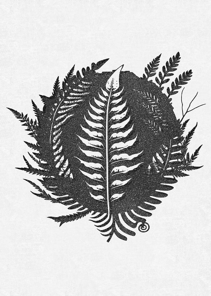 Witch Fern