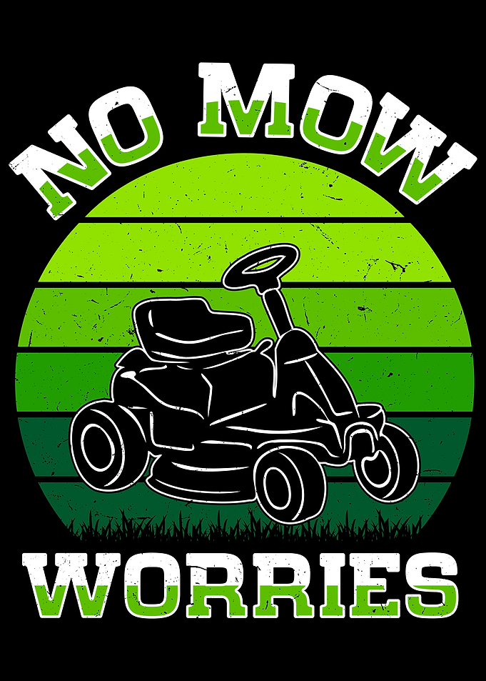 Lawn Mowing Lawn Mower