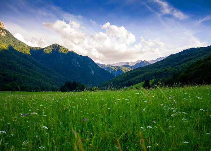 Meadow by Mountains Nature