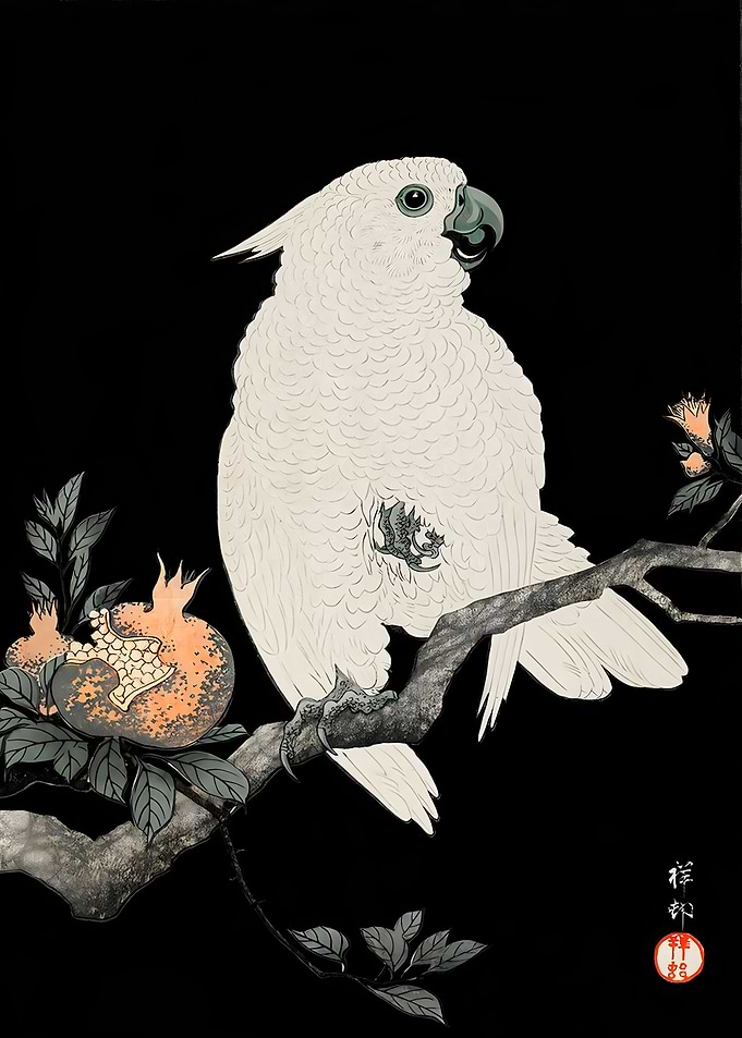 Ukiyo e Cockatoo