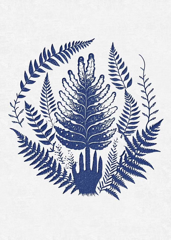 Witch Fern
