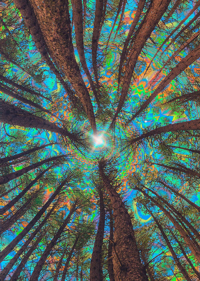 Projections