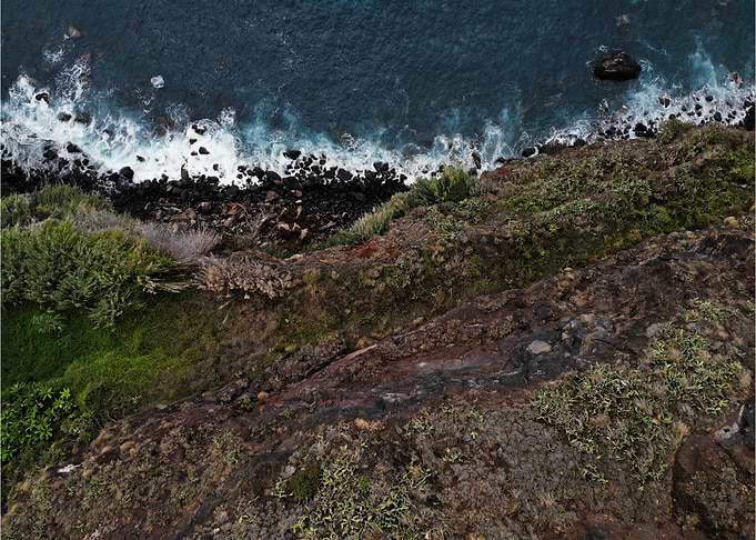 Coasts of Madeira