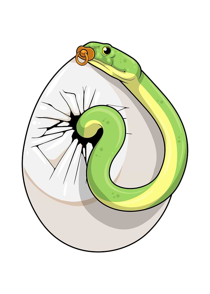 Snake Egg Pacifier