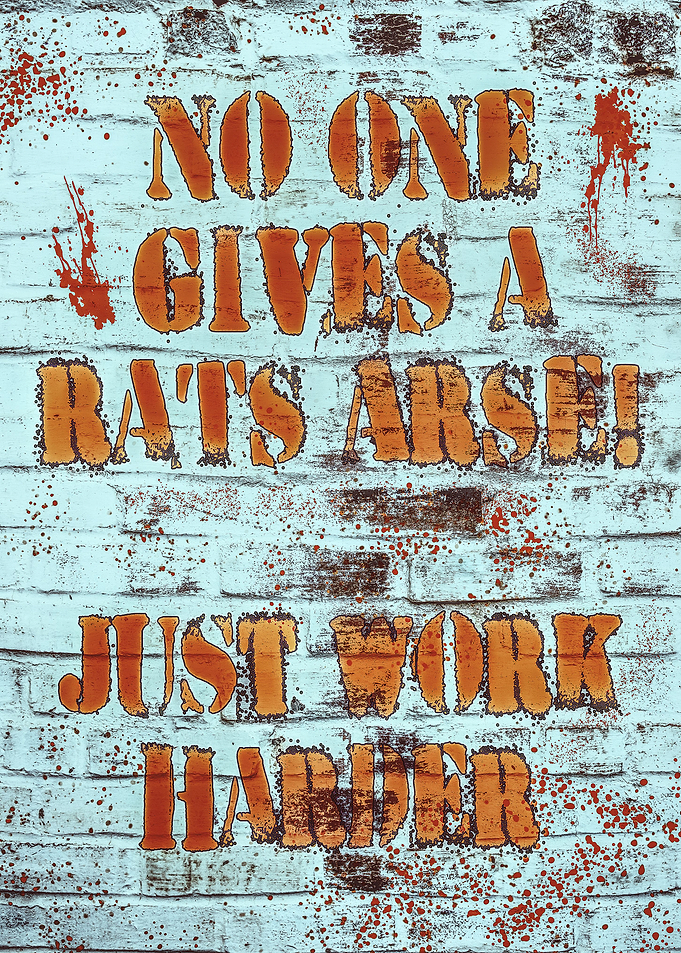 No One Gives a Rats Arse