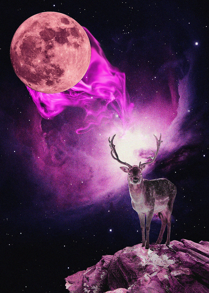 Lonely Deer