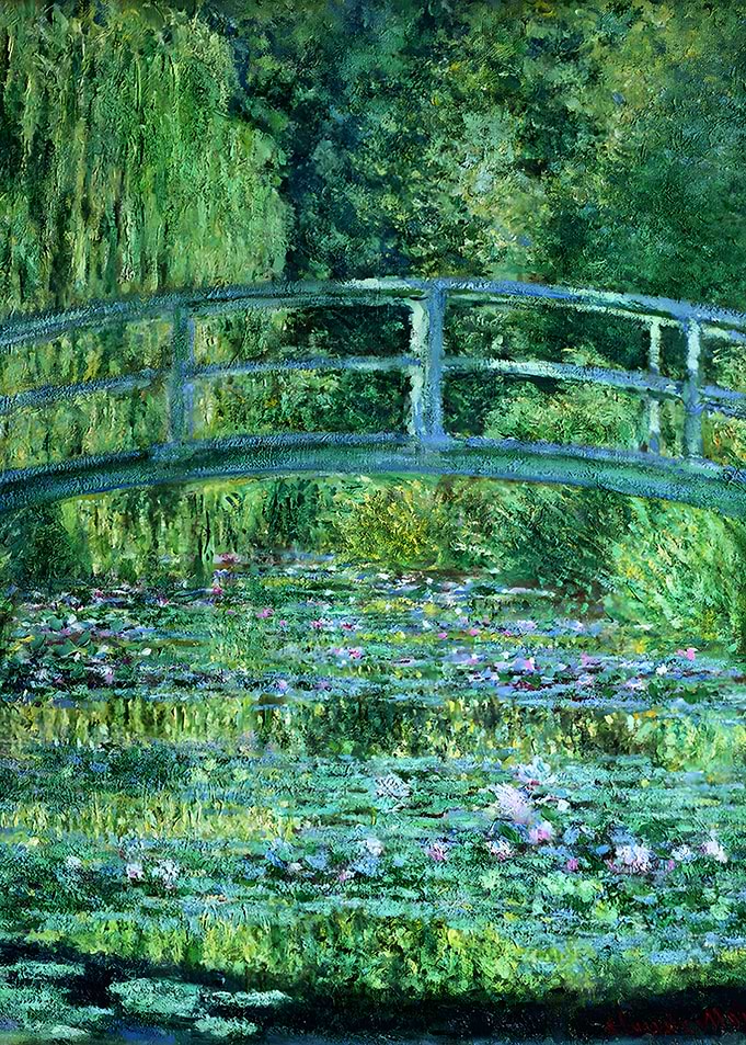 Water Lily Pool