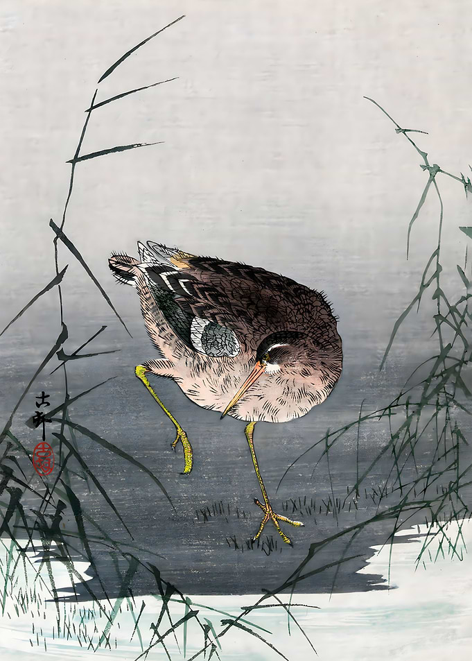 Ukiyo e Ashi ni shigi