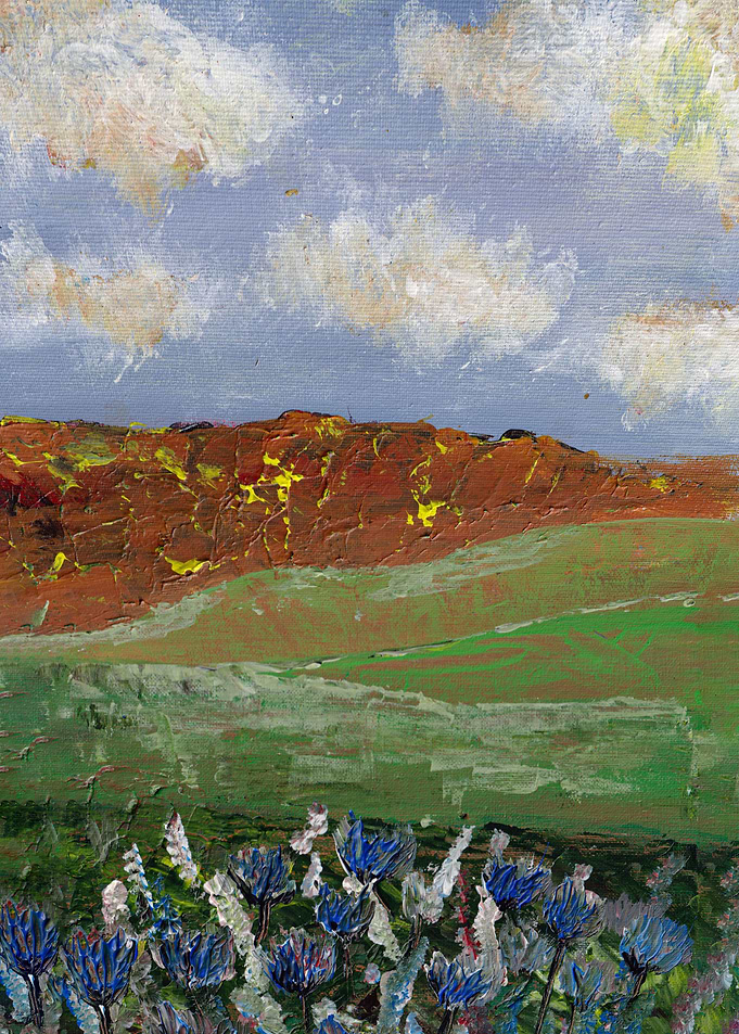 Flowers Landscape Sky