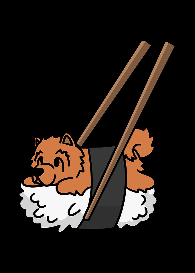Chow Chow Nigiri Sushi