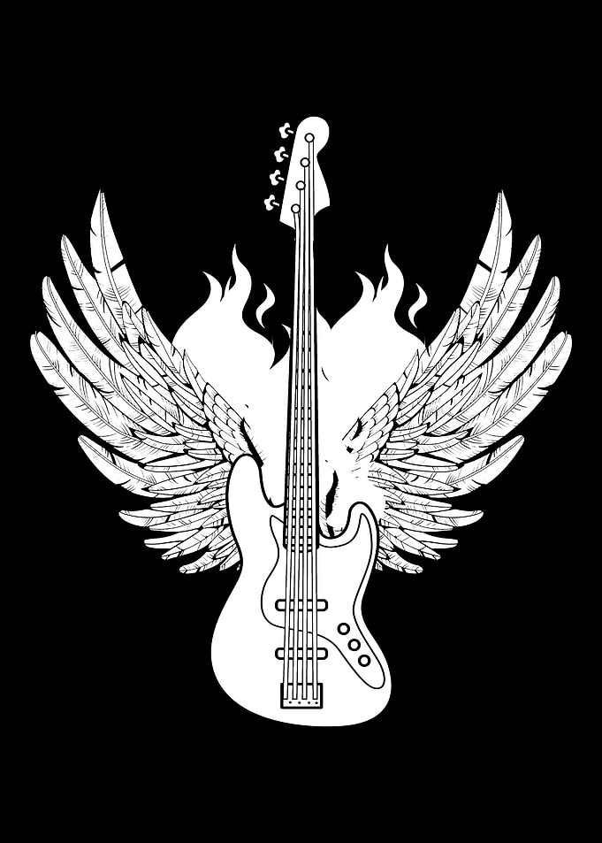 Bass Guitar Bassist