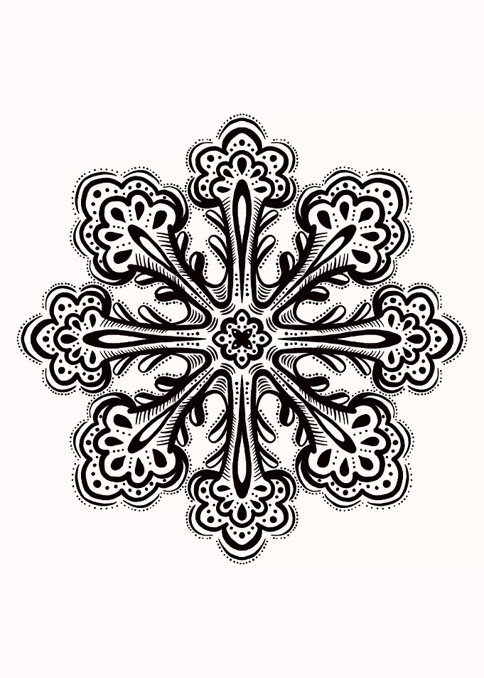 Abstract Floral Snowflake
